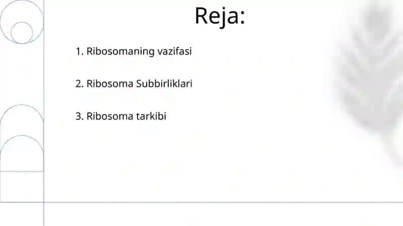 Ribosomaning tuzulishi 2