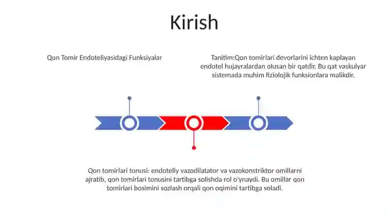 Qon Tomir Endoteliyasining Funksiyalari 2