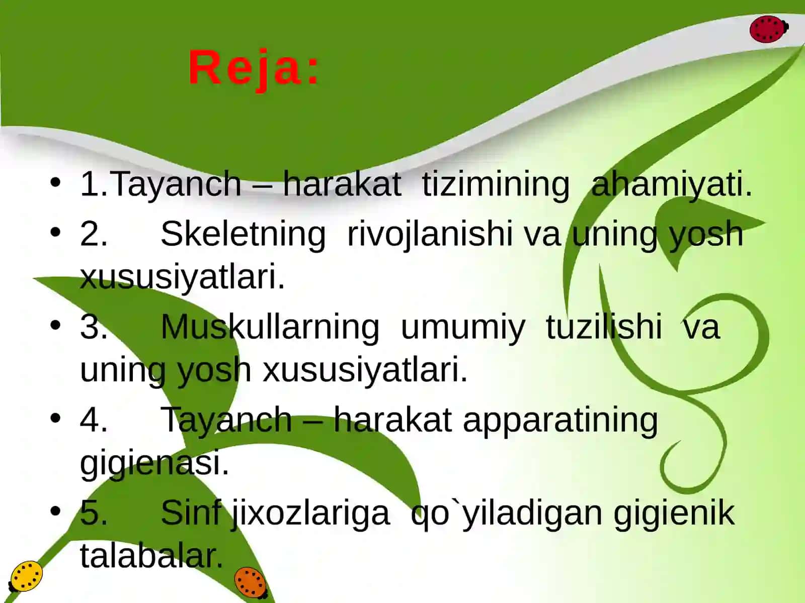 Tayanch harakat aparati 2