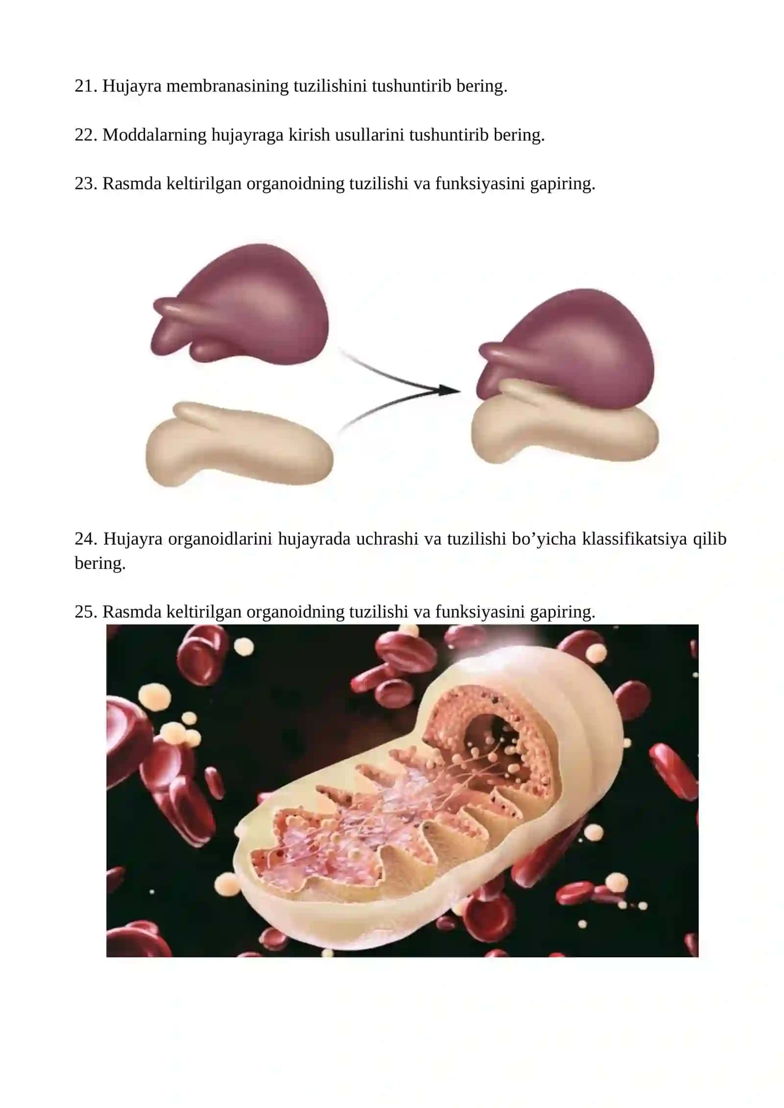 Tibbiyot sharhlari 2
