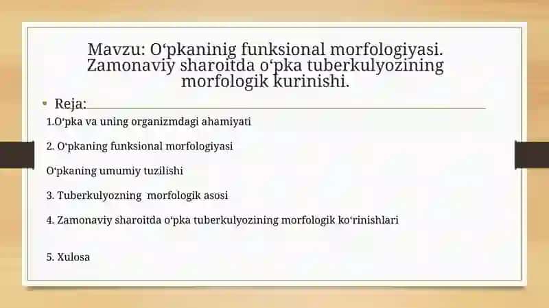 O‘pkavauning funksional morfologiyasi 2