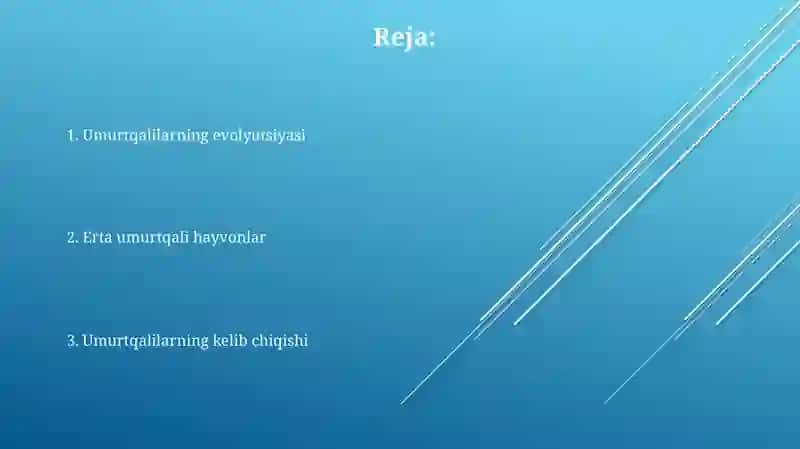 Umurtqalilarning kelib chiqishi 2