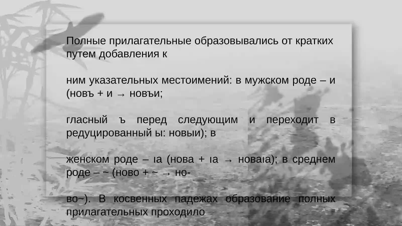История русского языка 2