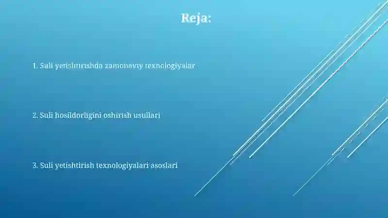Suli yetishtirish tehnalogiyasi 2