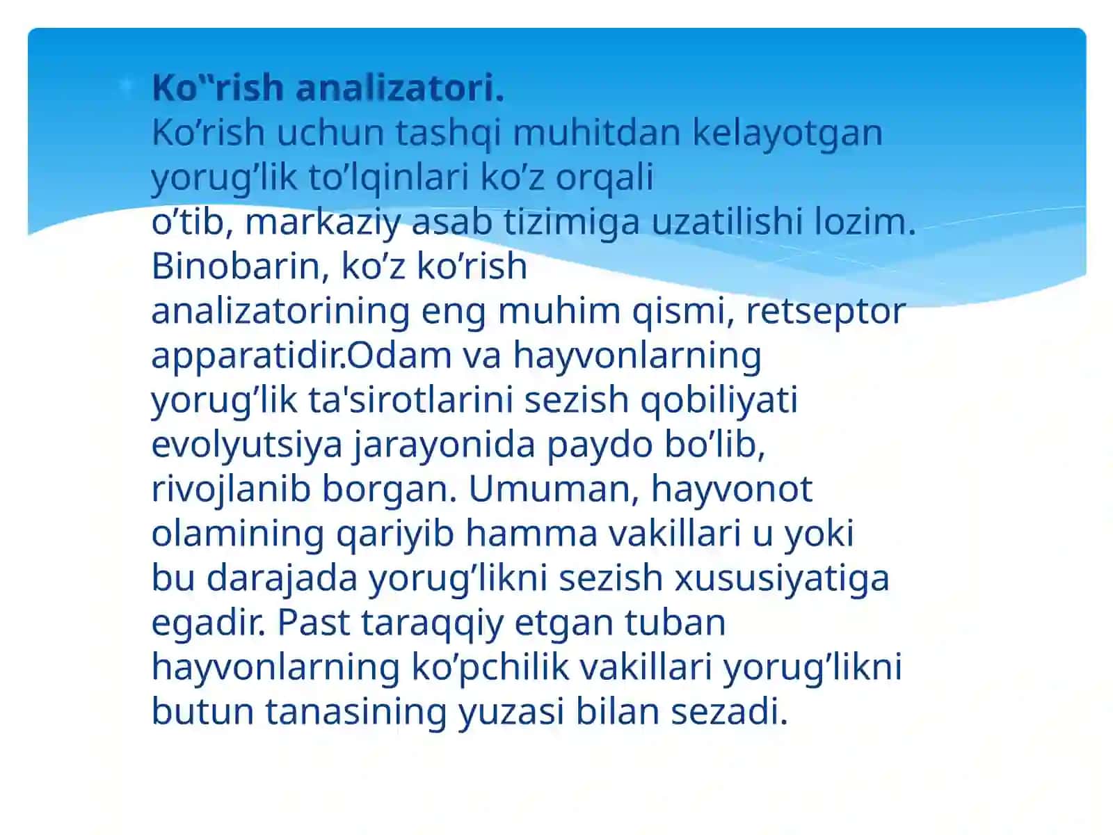 KO’RUV ANALIZATORI.KO’ZNING OPTIK TIZIMI 2
