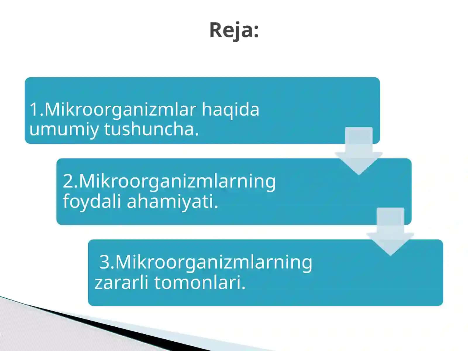 Mikroorganizmlarning  amaliy ahamiyati 2