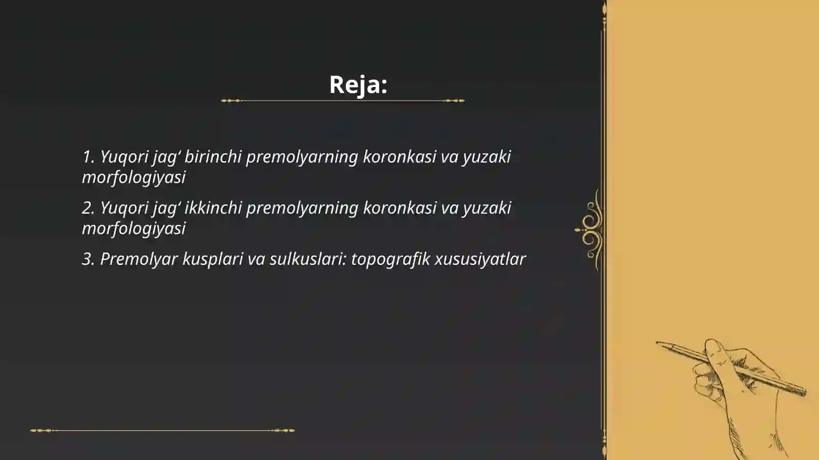 Yuqori jag‘ premolyar tuzilishi 2