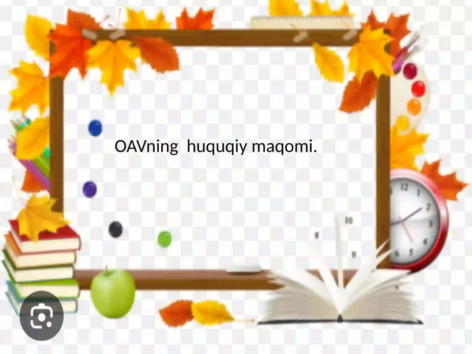 OAVning huquqiy maqomi 2