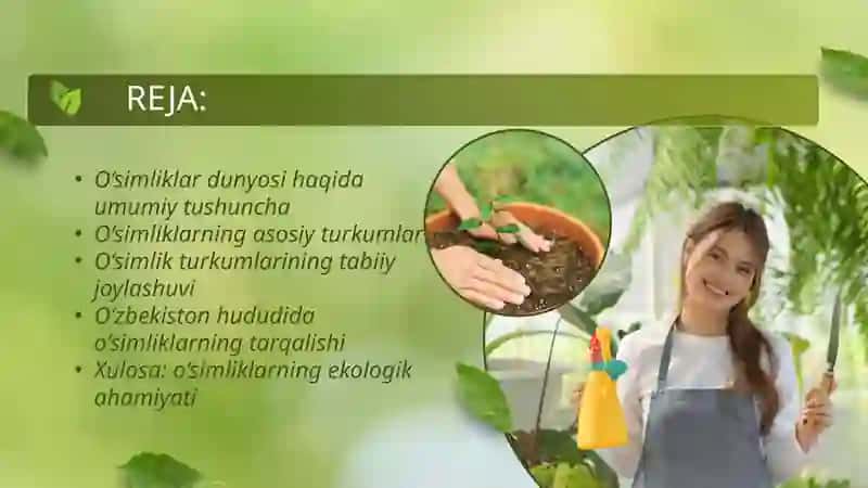 O‘simlik turkumlari va ularning tabiiy joylashishlari 2
