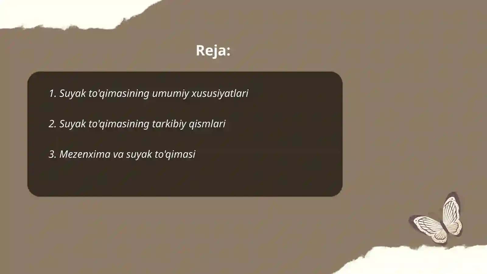 Suyak to'qimasi 2