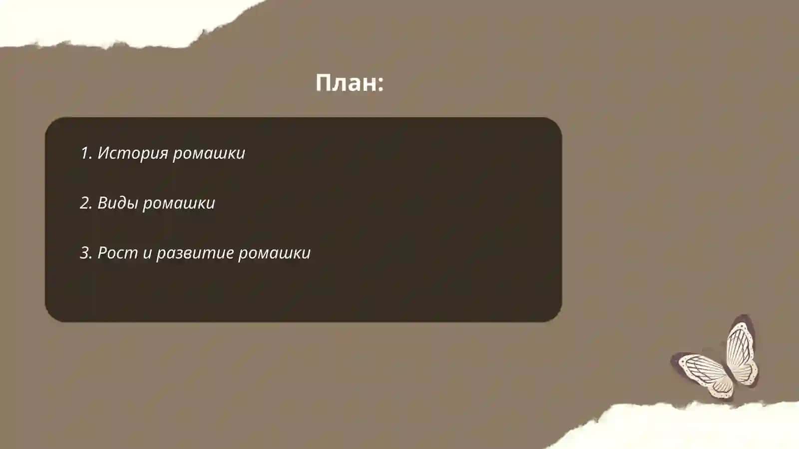 Ромашка 2