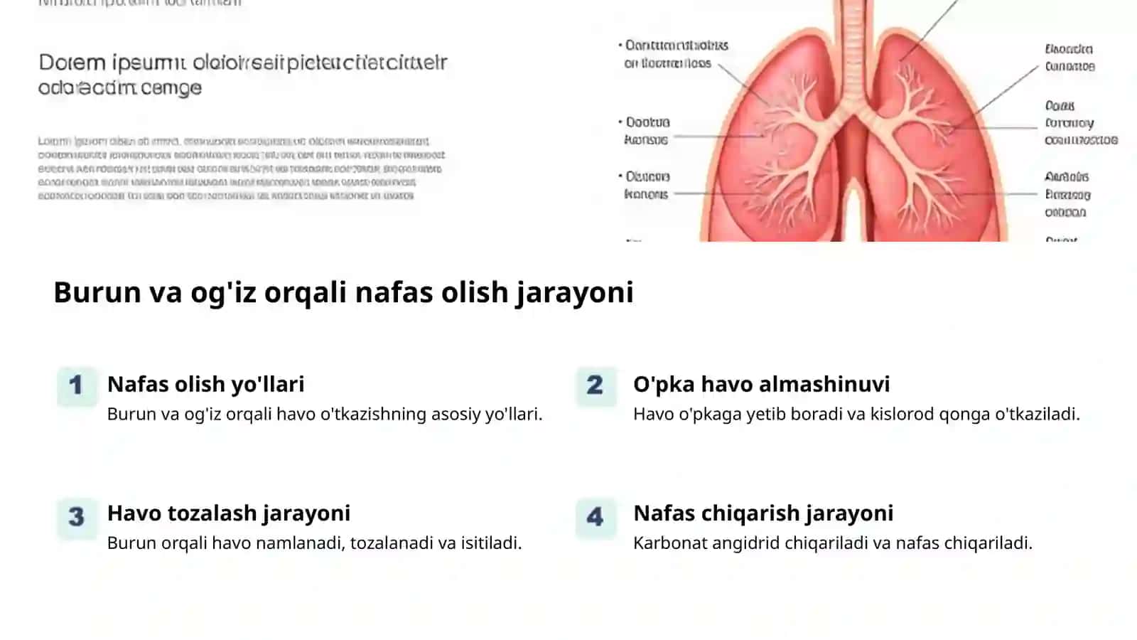Nafas olish tizimi: hayot manbai 2