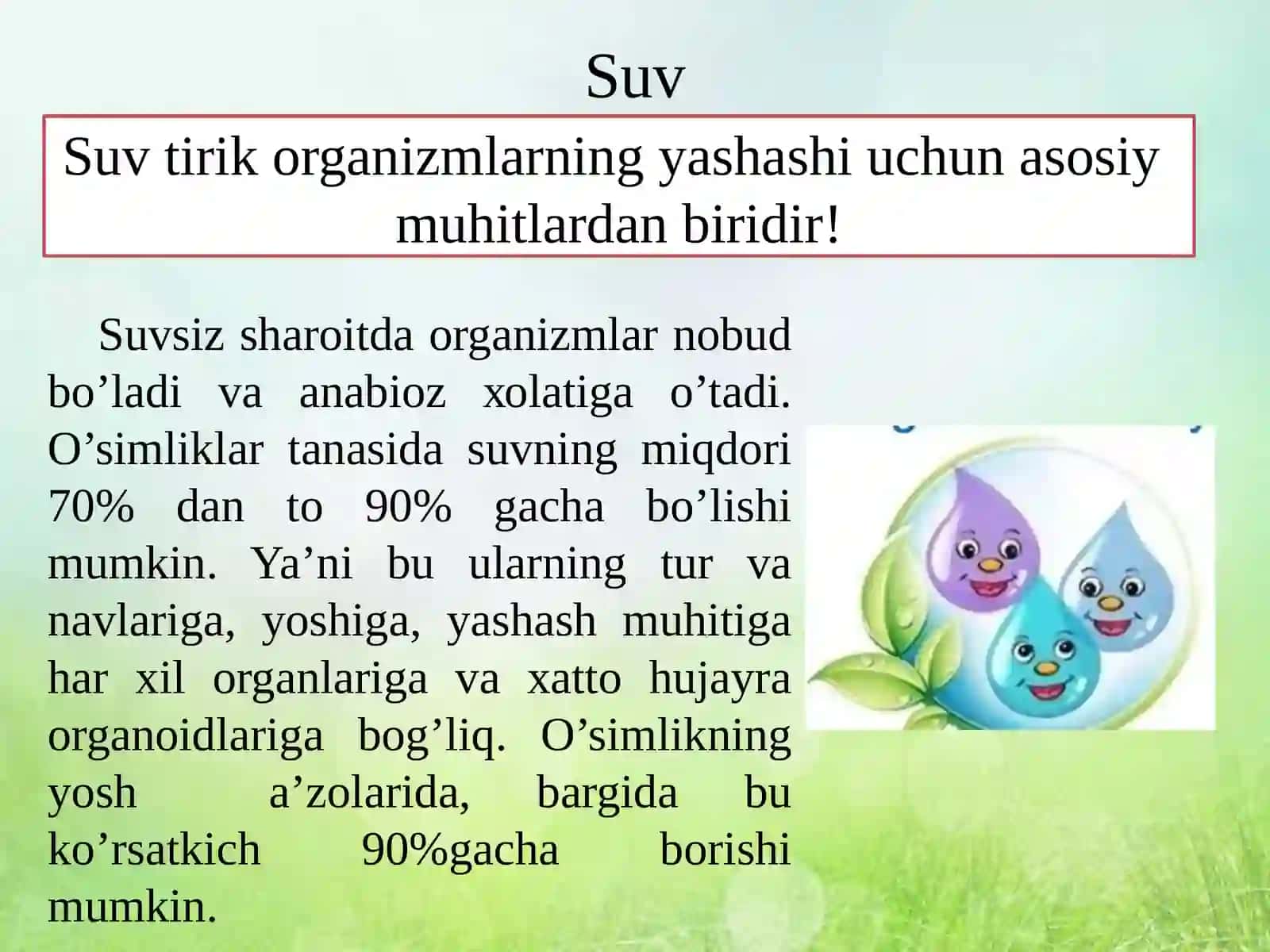 O‘simliklardagi suv muvozanati 2