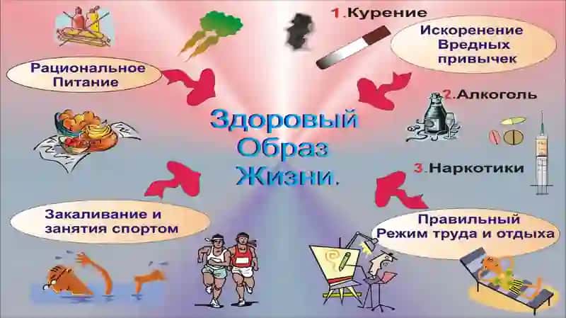 Пищевые продукты 2