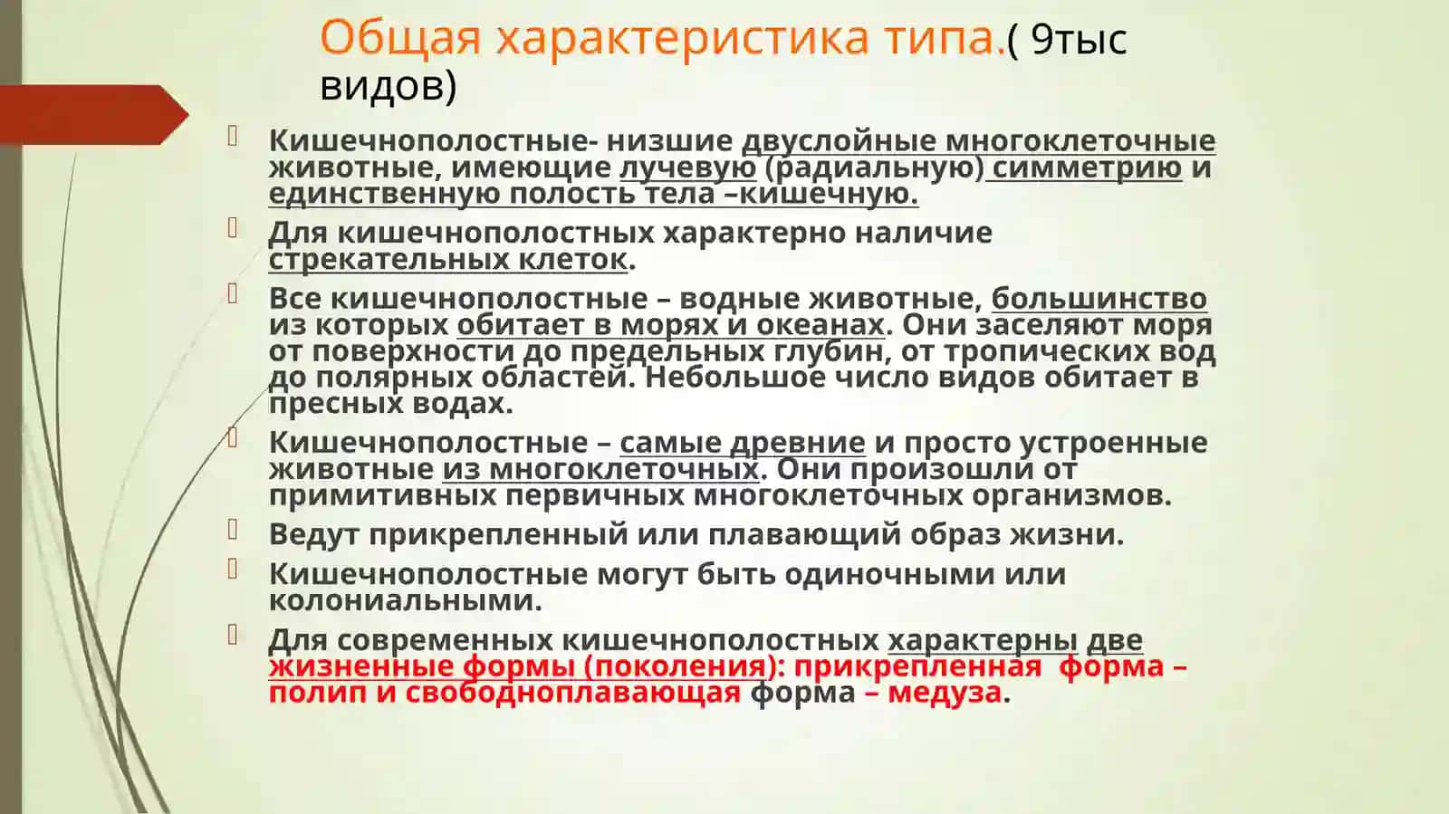 Кишечнополостные 2