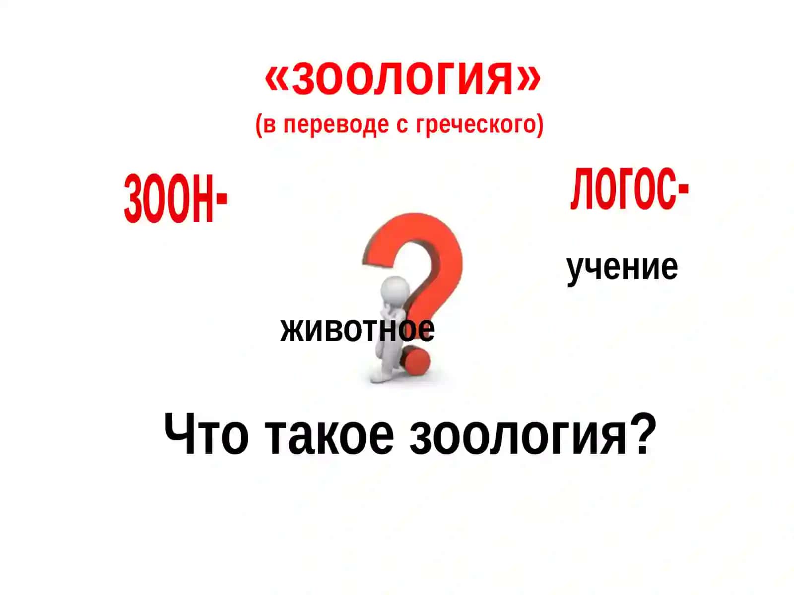 Зоология 2