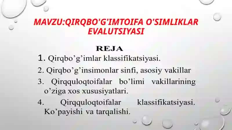 QIRQBO'G'IMTOIFA O'SIMLIKLAR EVALUTSIYASI 2