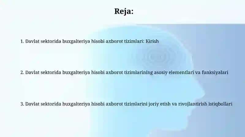 Davlat sektorida buxgalteriya hisobi axborot tizimlari 2
