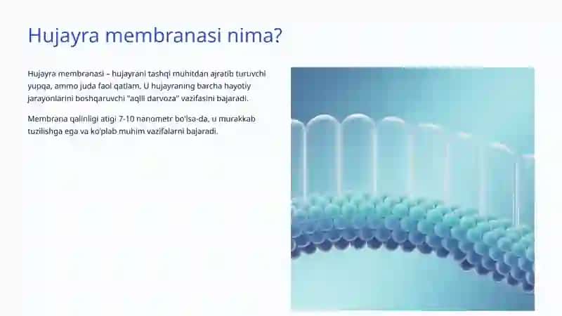 Hujayra membranasining tuzilishi va funksiyasi 2