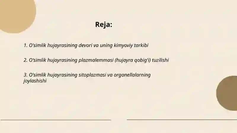 Òsimlik hujayrasining tuzulishi 2