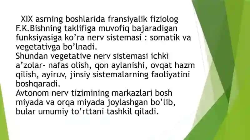 mustaqil ish 2