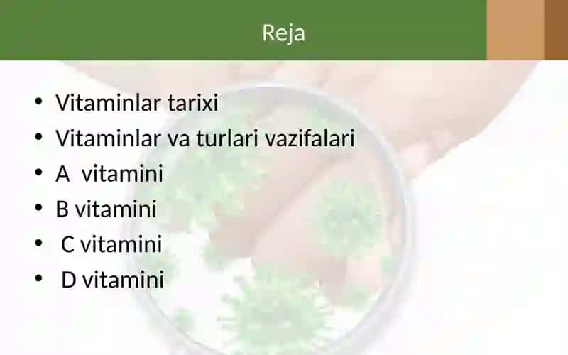 VitaminlarAlmashinuvi 2