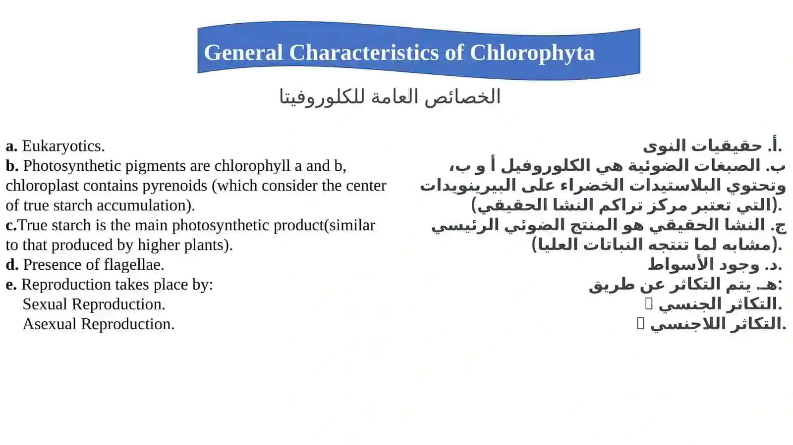 General Characteristics of Chlorophyta 2