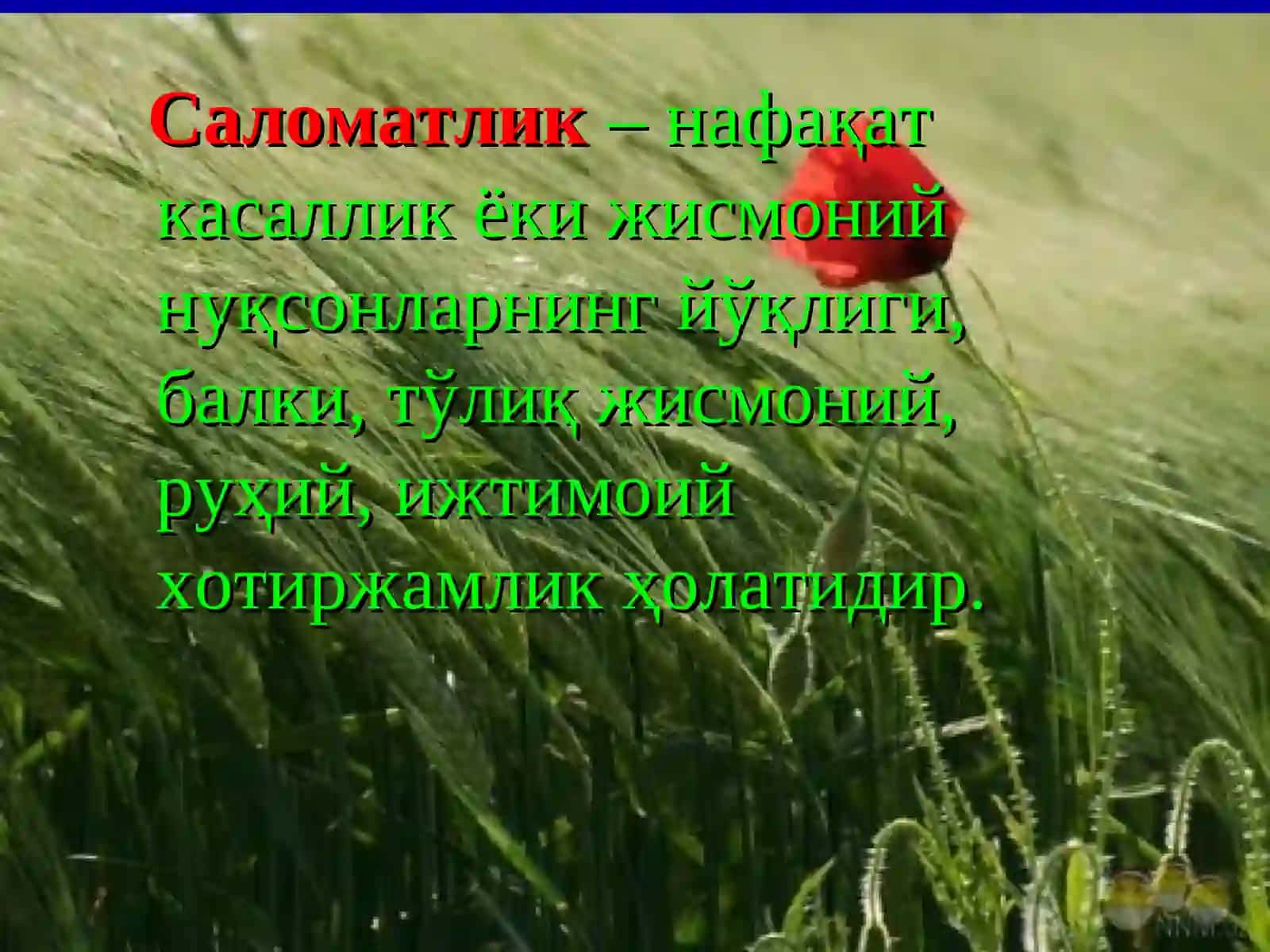 СОҒТАНДА -СОҒЛОМ АҚЛ 2