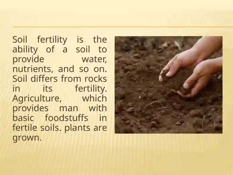 Use of microorganisms in increasing soil fertility 2