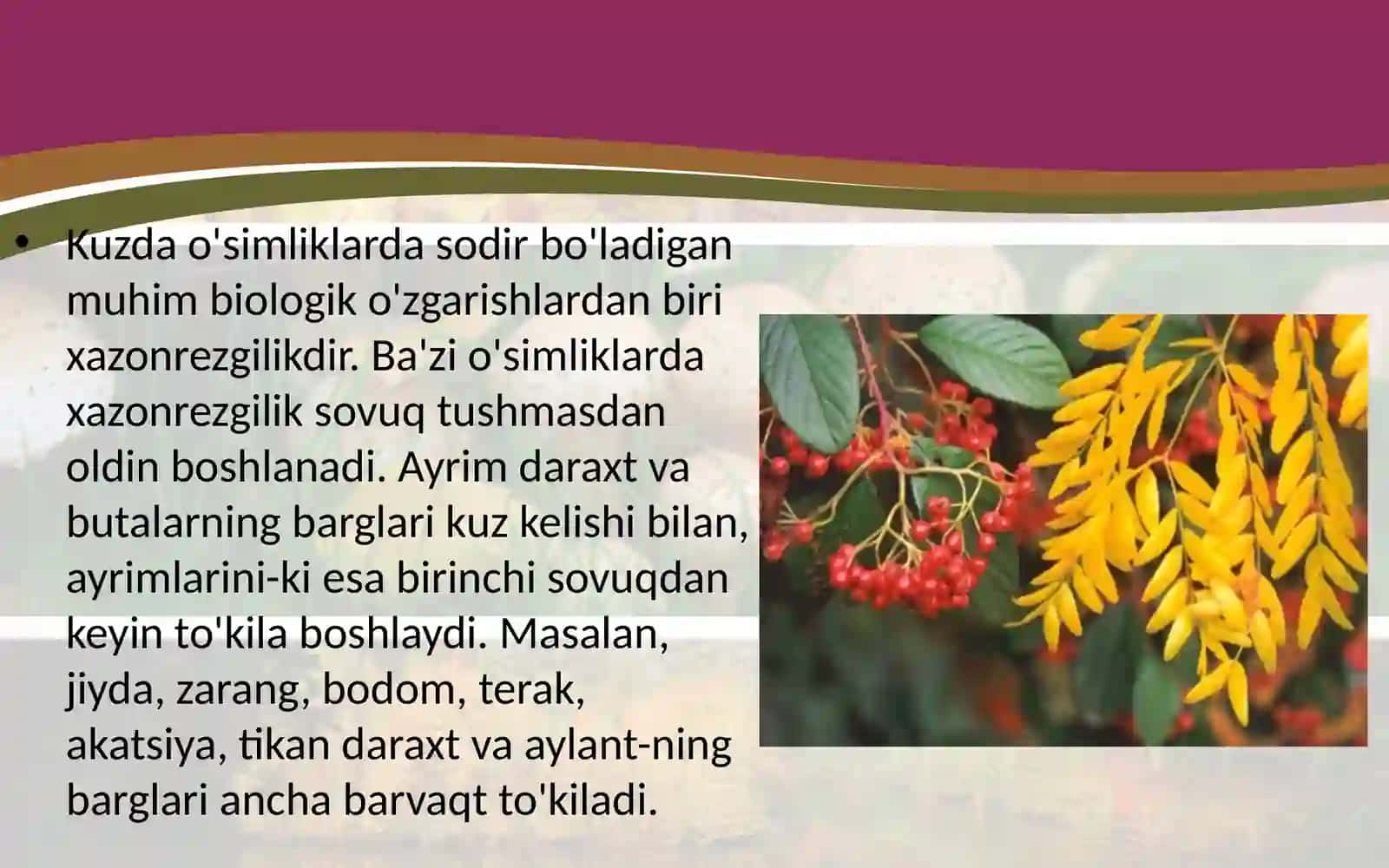 6-sinf Botanika Kuzda o'simliklar hayotida ro'y beradigan o'zgarishlar 2