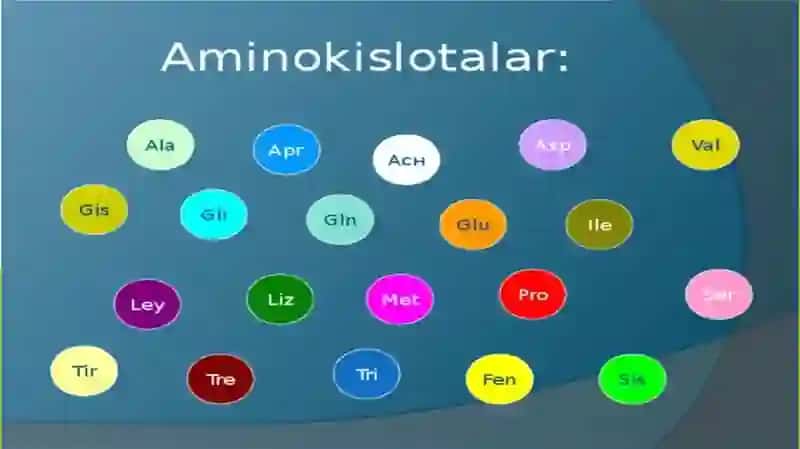 AMINOKISLOTALAR, ULARNING FIZIK-KIMYOVIY XOSSALARI. 2