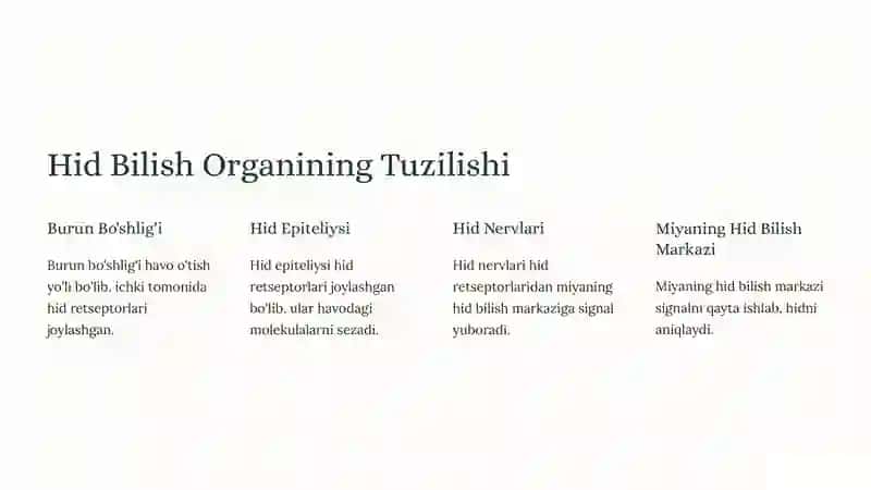 Hid Bilish Organining Tuzilishi 2