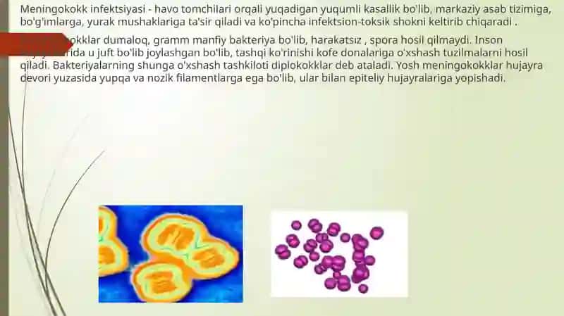 Meningokokkinfektsiyasi(meningokokk) 2