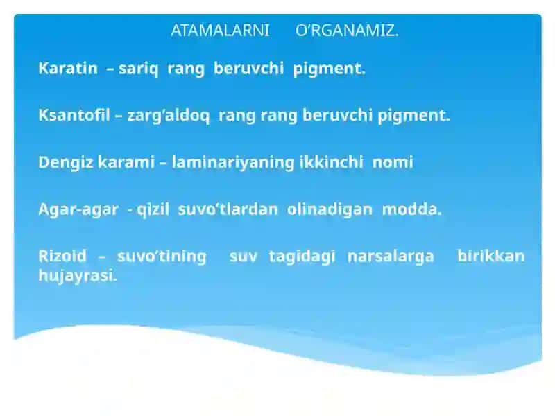 Dengiz suvotlari va ularning moddalari 2