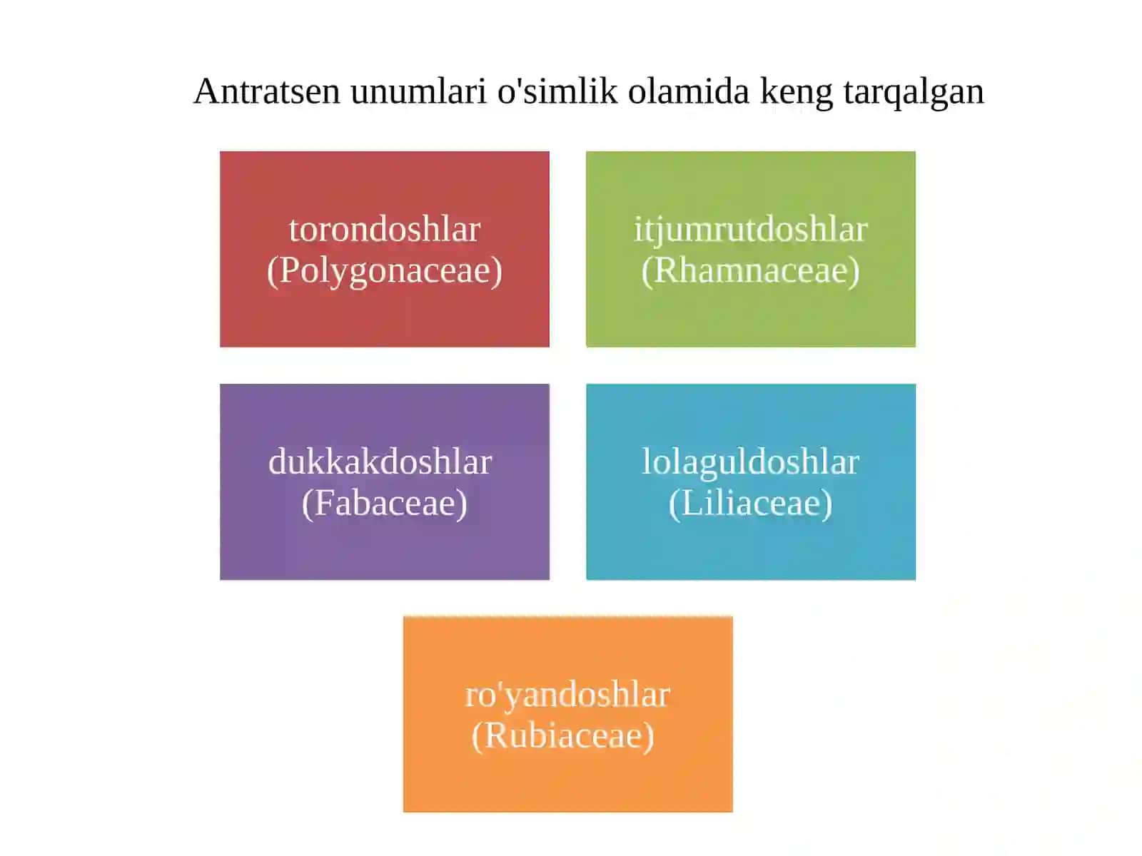 Antratsen unumlari bilan dorivor o‘simliklar 2