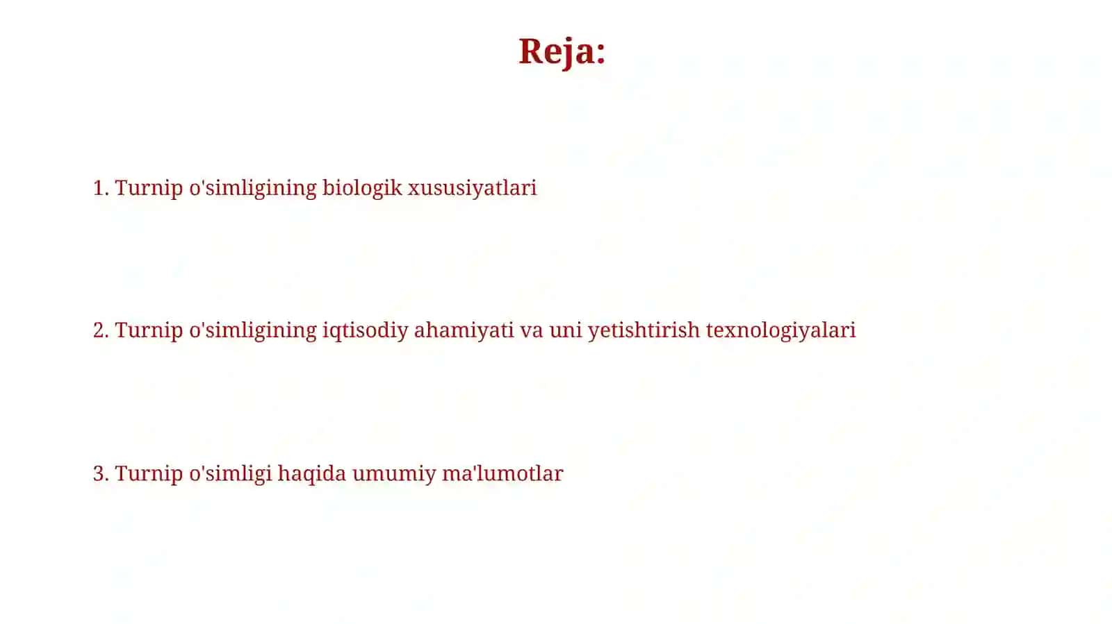 Turnip o'simligi 2