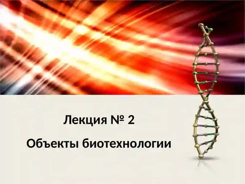 Объекты биотехнологии 2