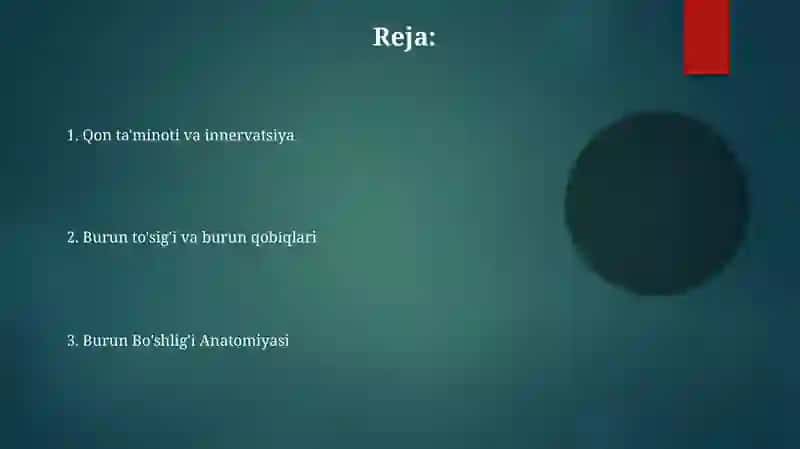 Burun Bo'shlig'i Anatomiyasi 2
