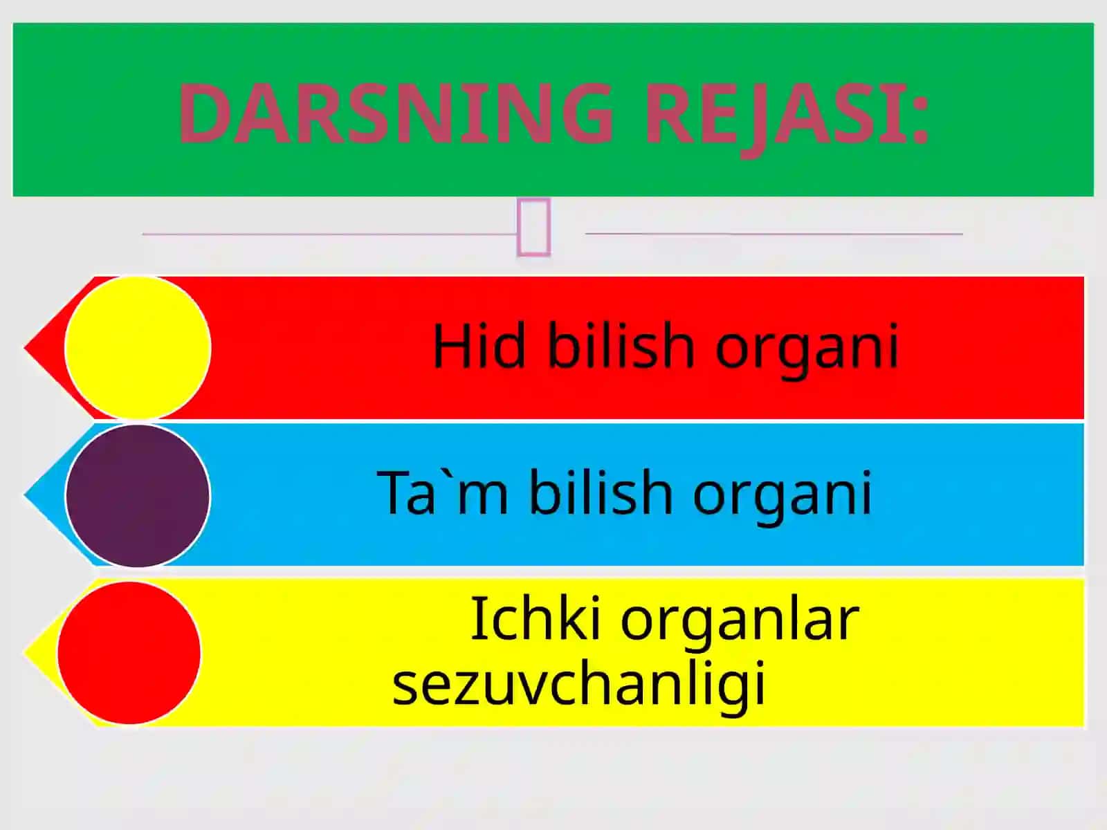 HID BILISH VA TA`M BILISH ORGANLARI 2