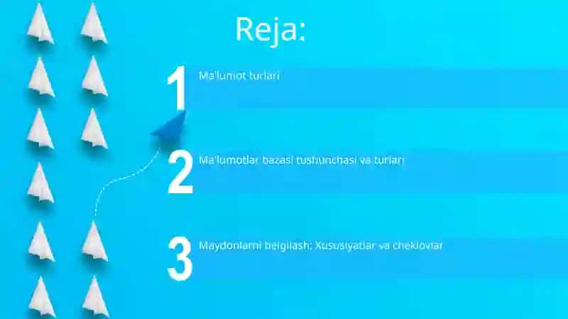 Ma’lumotlar turlari va bazasi, maydonlarni aniqlash 2