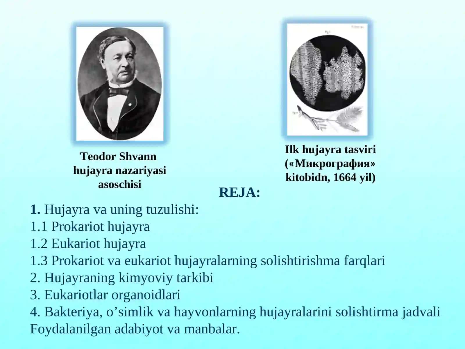 Hujayra va uning tuzulishi 2