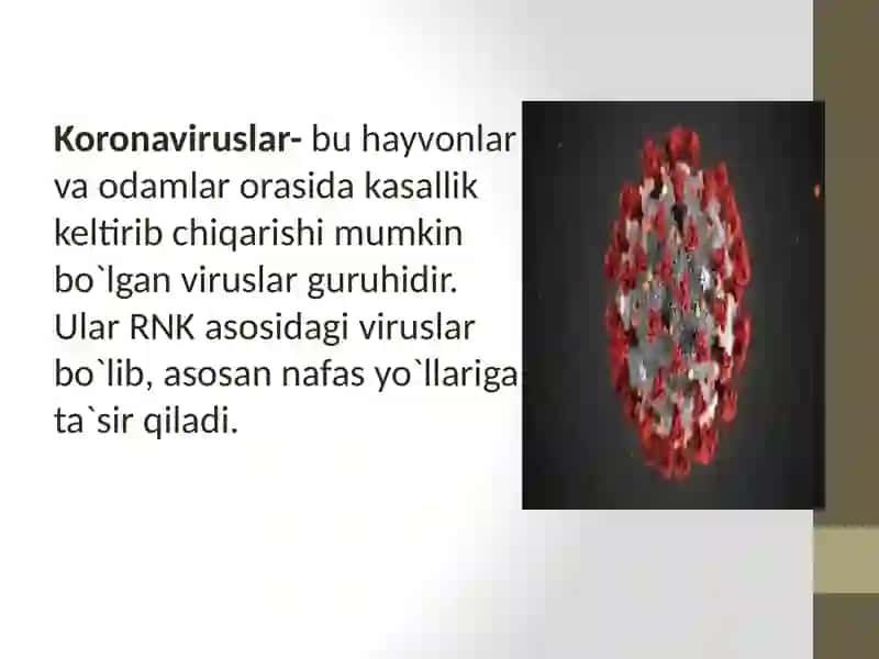 korinavirus va uning hozirgi kundagi muammolari 2