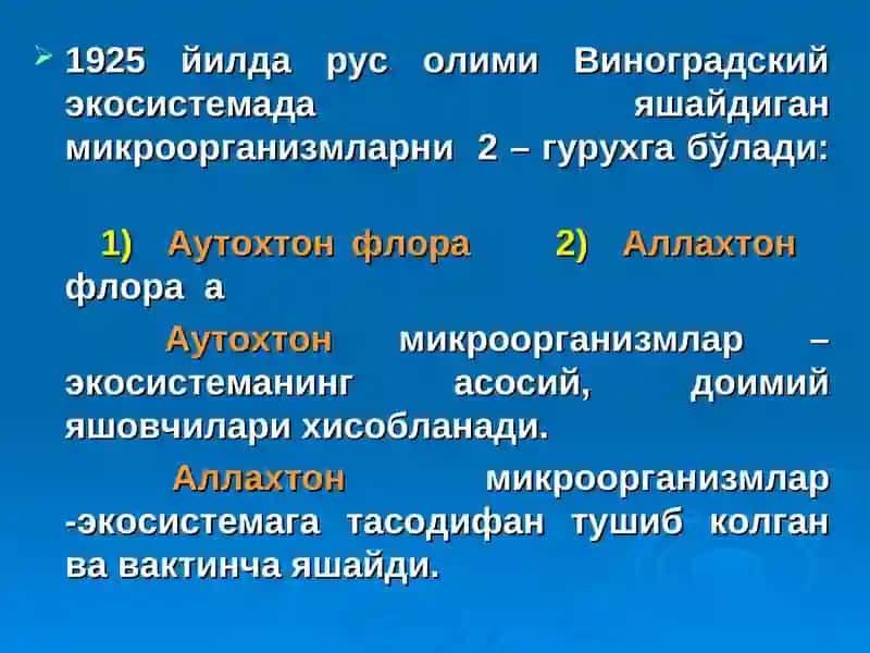 Микрофлора 2