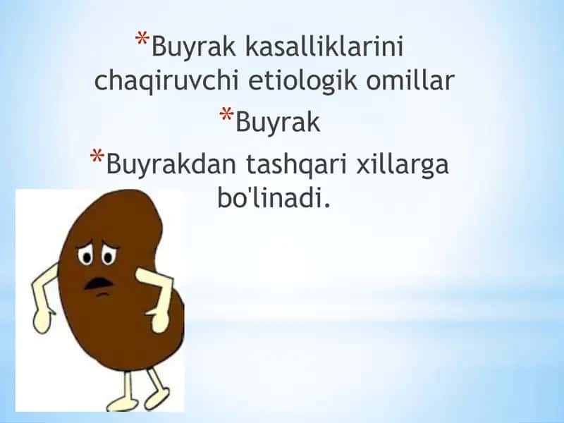 Buyrak 2