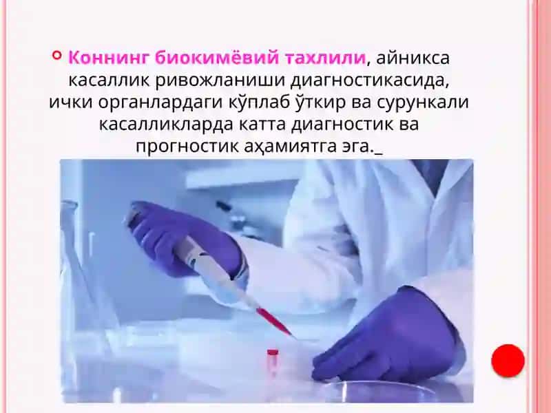 Қоннинг биохимиктекширув натижалари 2