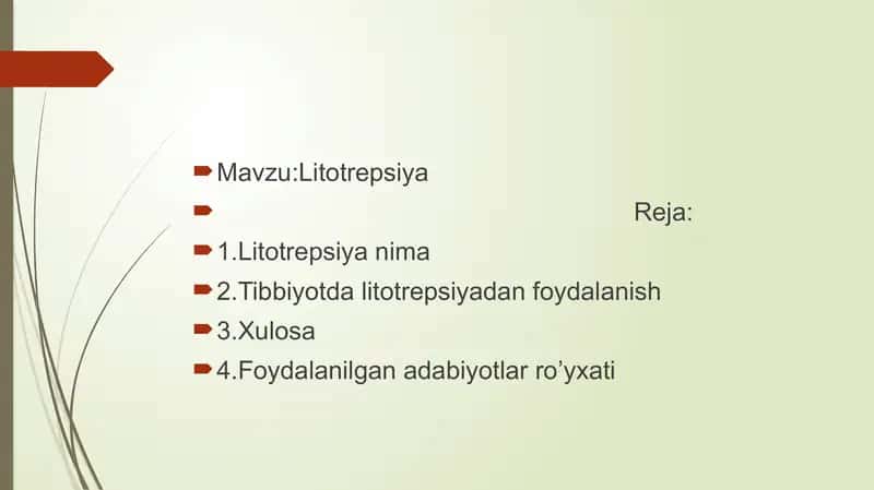 Litotrepsiya 2