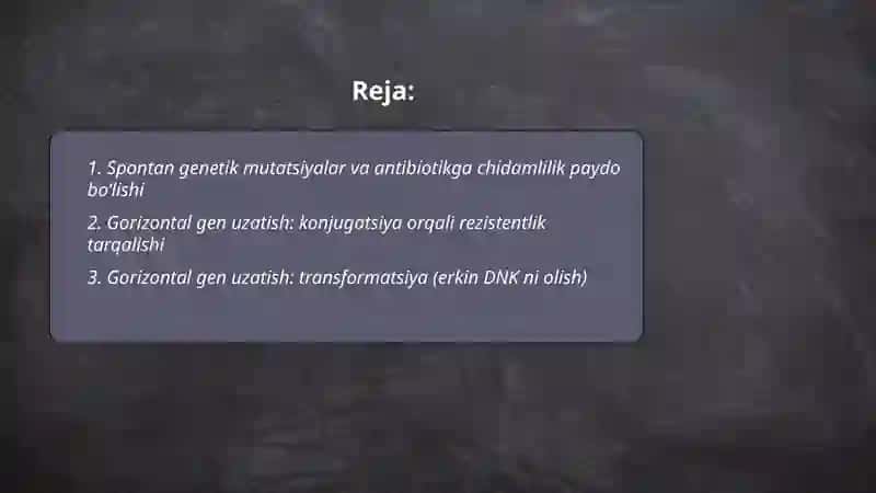 Bakteriyalarning antibiotiklarga chidamli shakllarini paydo boʻlish mexanizimlari 2
