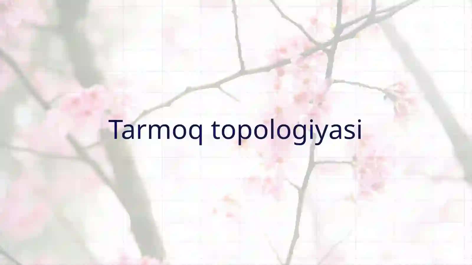 Tarmoq topologiyasi 2
