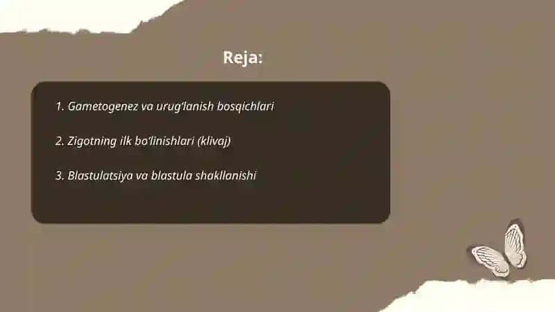 Hujayra ontogenezining rivojlanish bosqichlari 2