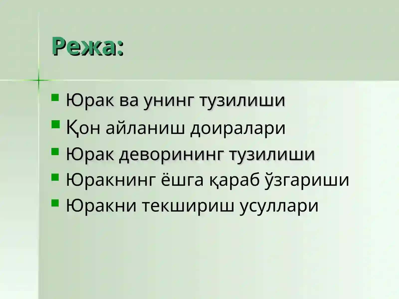 Юрак ва унинг тузилиши 2